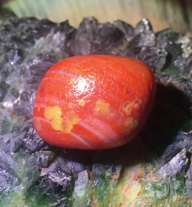 南红独籽儿水籽儿图贴-2