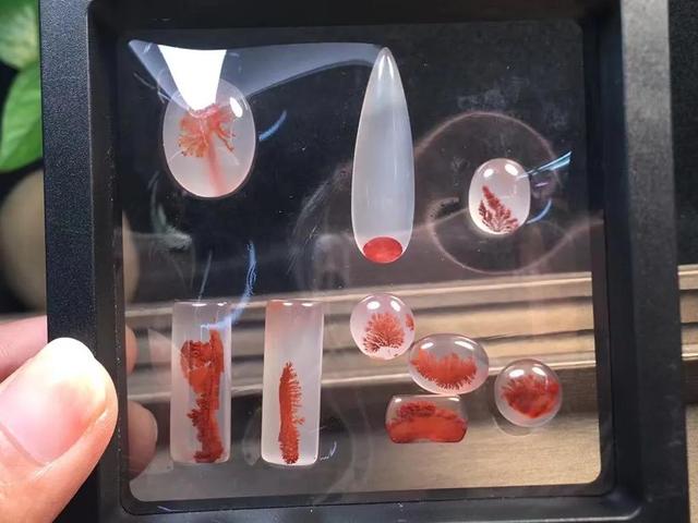 极品 凉山南红 高冰飘花？